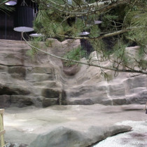 Rock sets -Adjustments of volume with sculpted rigid urethane, final texture out of shotcrete refined required finition by sculpture team