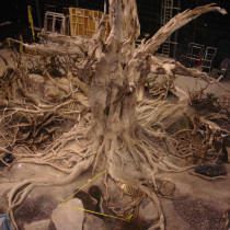 Ancient tree ship set - Top view / Roots and floor in cement and plaster