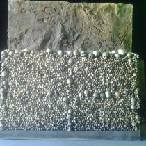 CATACOMBS 	Skulls and bones are molded and casted in plaster